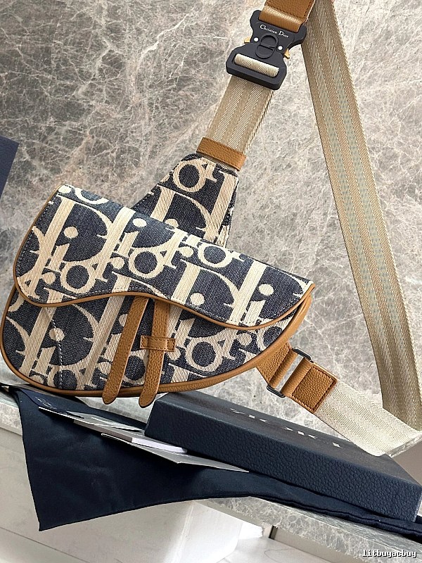 Dior Saddle bag Beige Oblique