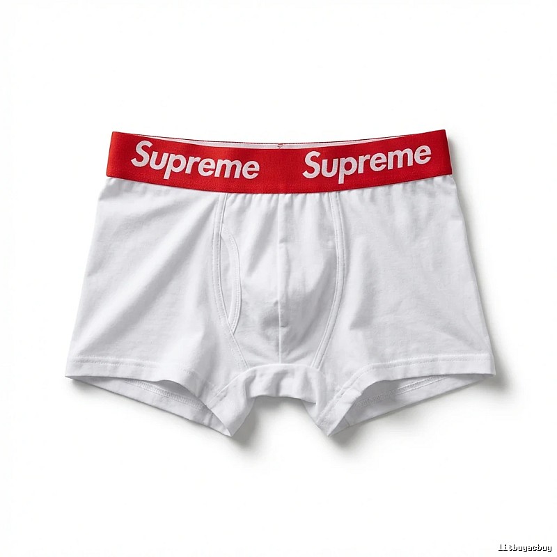 Supreme minimalist style white underwear
